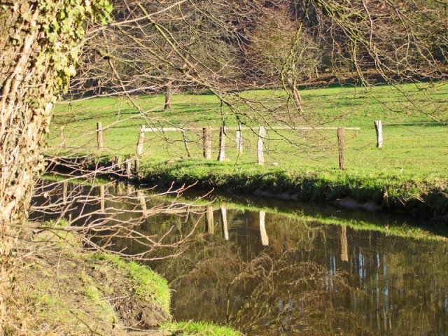 image nette10-jpg