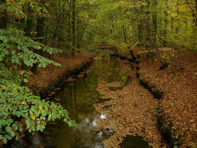 image nette4-jpg