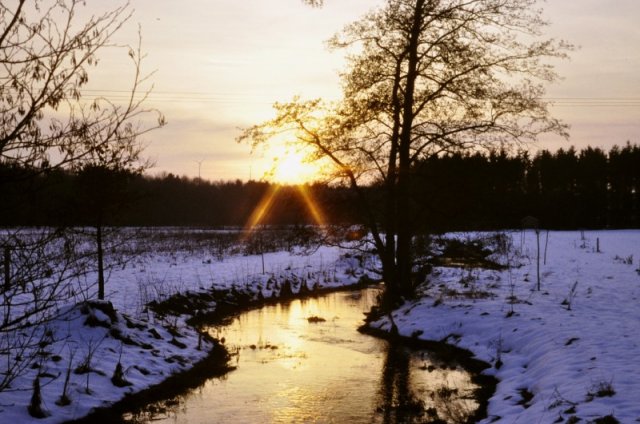 image w10-jpg